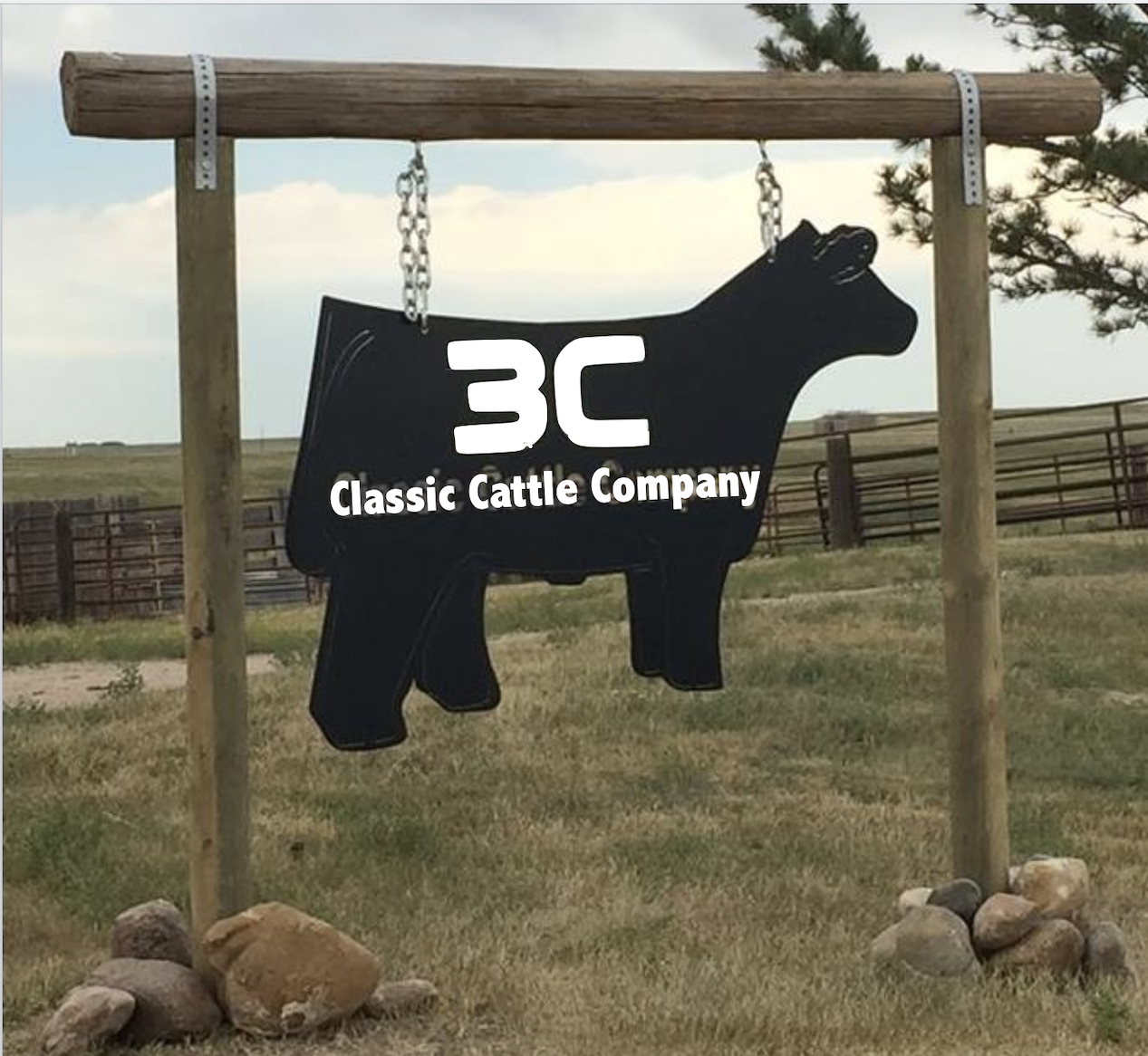 Classic Cattle Company